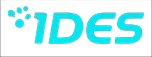 1DES logo
